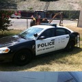 Cops these days