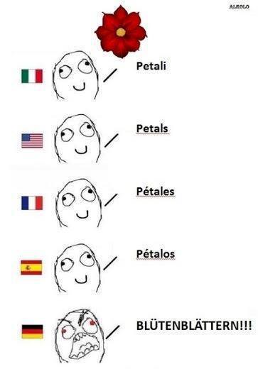 Difference de langue... - meme