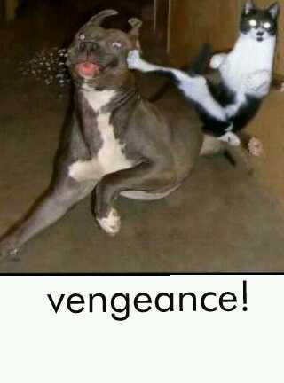 vengeance!!! - meme