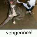 vengeance!!!