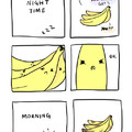 banana club..