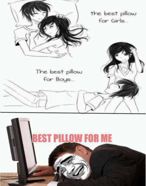 the best pillow for me xd lol - meme