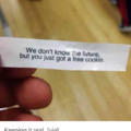 Fortune cookies are actually an American invention. That's why they're hollow, full of lies, and leave a bad taste in the mouth.