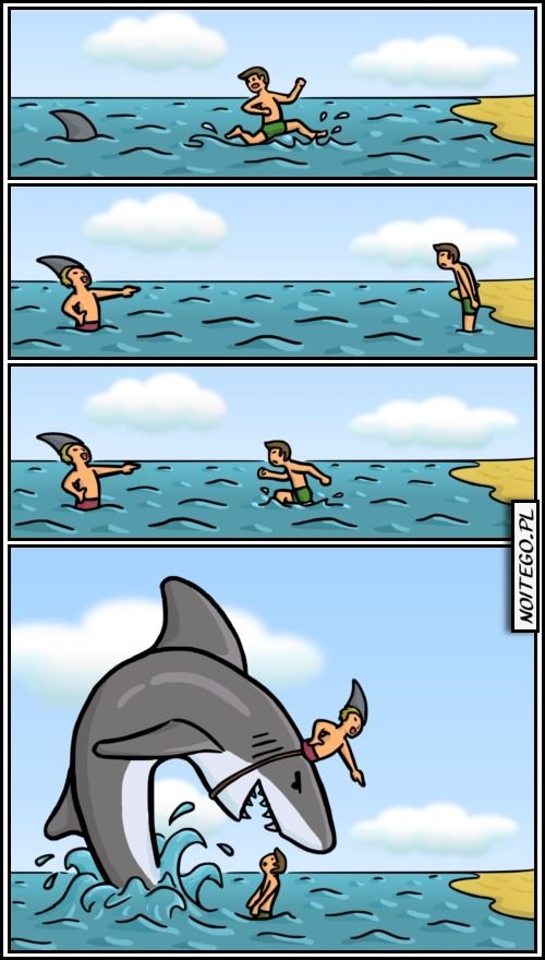 Requin - meme