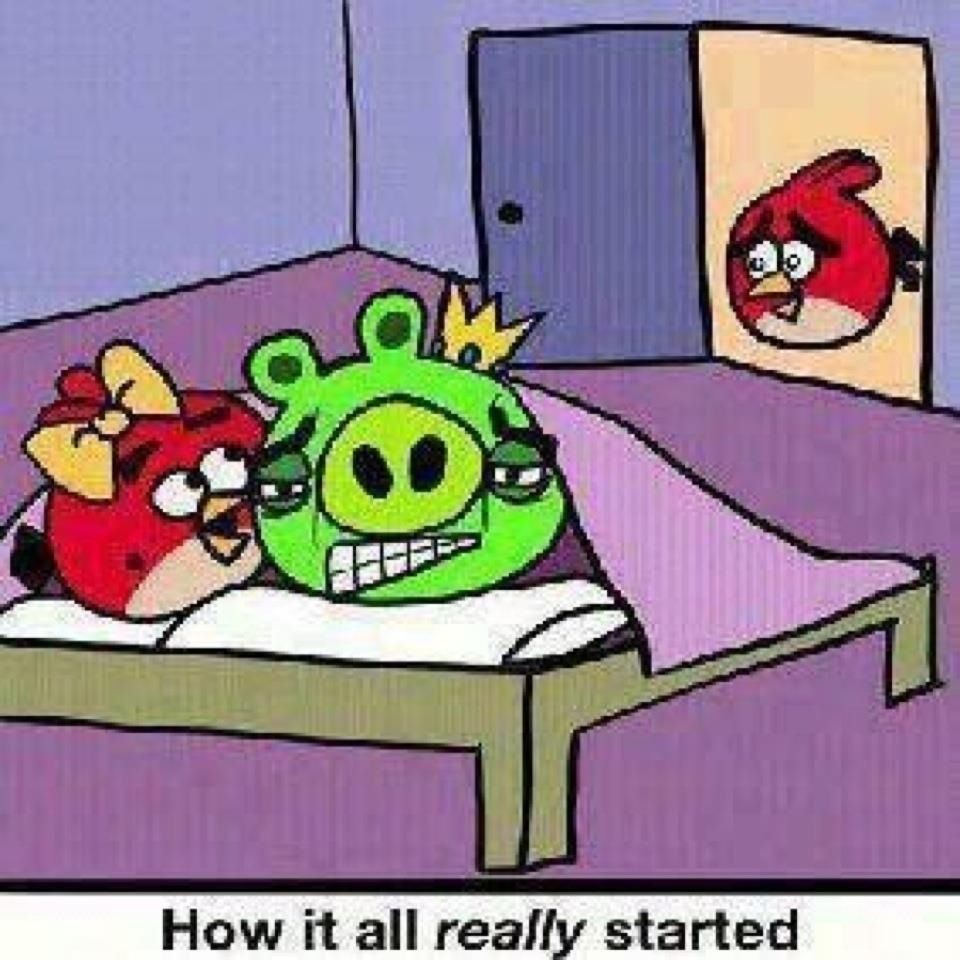 960px x 960px - Angry Birds! - Meme by kiki del bulla :) Memedroid