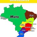 Verdades sobre os brasileiros