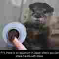 commented item thumbnail
