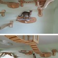 Cat furniture