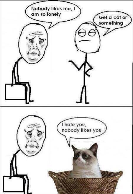 thats me nobady likes me even my cat hates me.life suck man!! - meme
