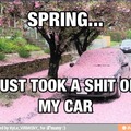 fucking spring