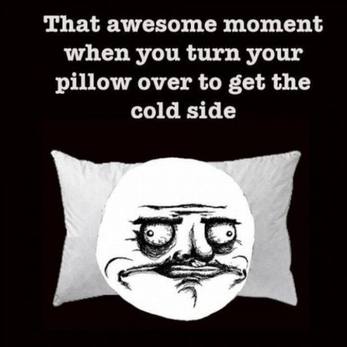 that awesome moment - meme
