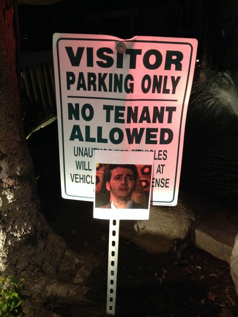 I guess I can't park my Tardis here - meme