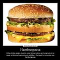 os desafuo a decirme algo mejor q la hamburguesa en precio, sabor y calorías