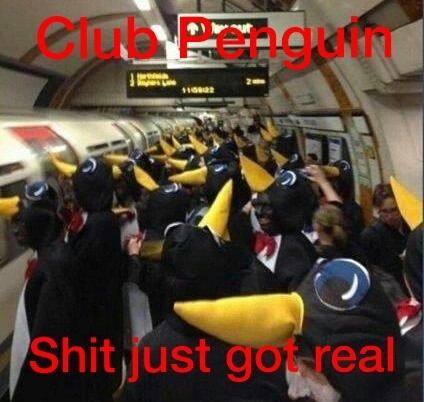 penguins - meme