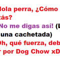 Dog Chow xD