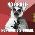 giusto