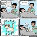Doctor Cat!
