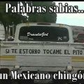sabios mexicanos n.n