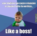 like a boss