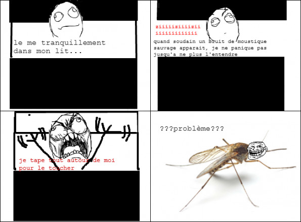 moustique - meme