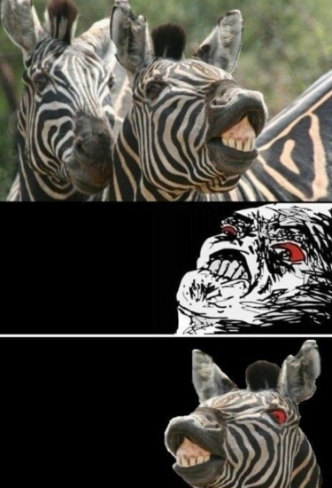 esa es mi zebra - meme