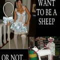 i want to be a sheep