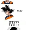WTF Goku??