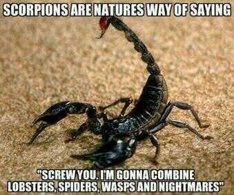 Scorpions - meme