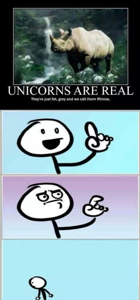 the real unicorns - meme