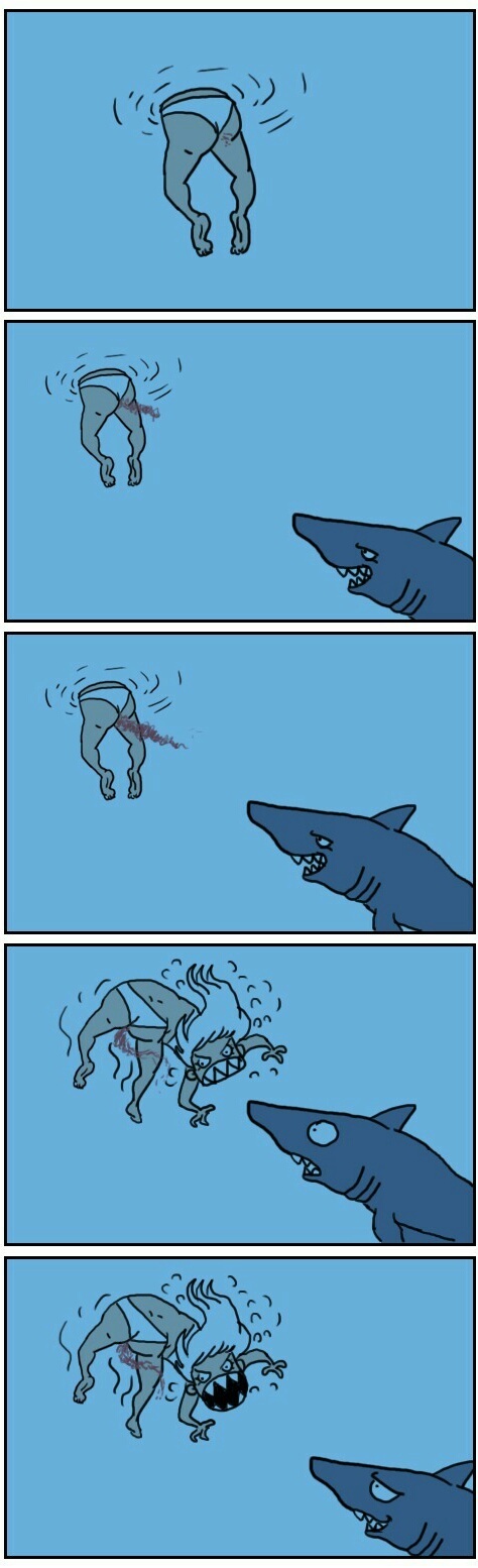 Save yourself shark! - meme