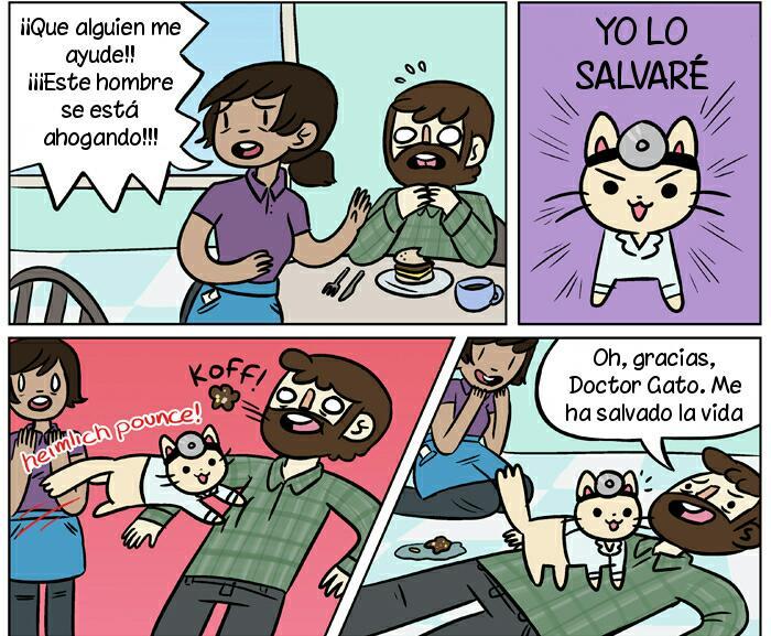 dr.gatooo - meme