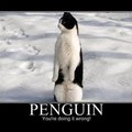 penguin Δ_Δ