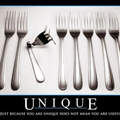 Being a unique fork nowadays