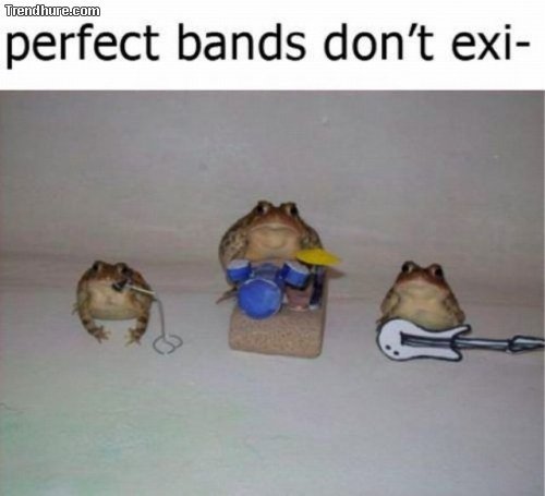 Frog band - meme