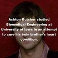 Good Guy Kelso