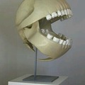 pacman skeleton