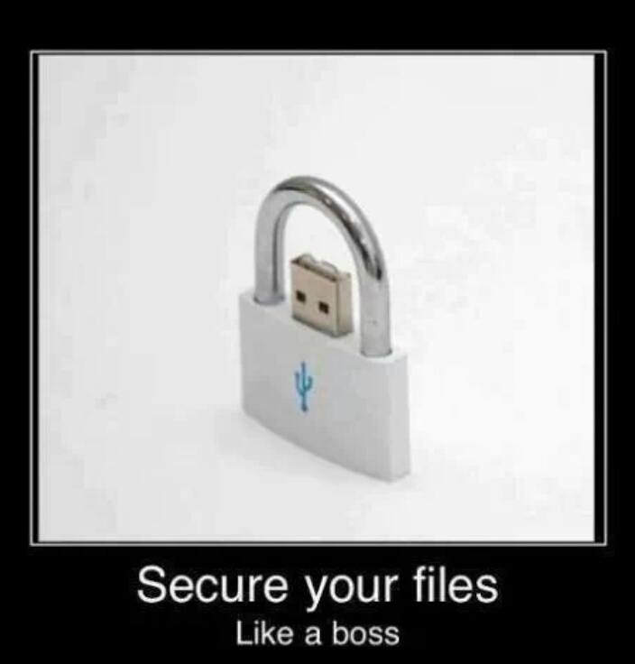 Securing files like a boss - meme