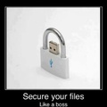 Securing files like a boss
