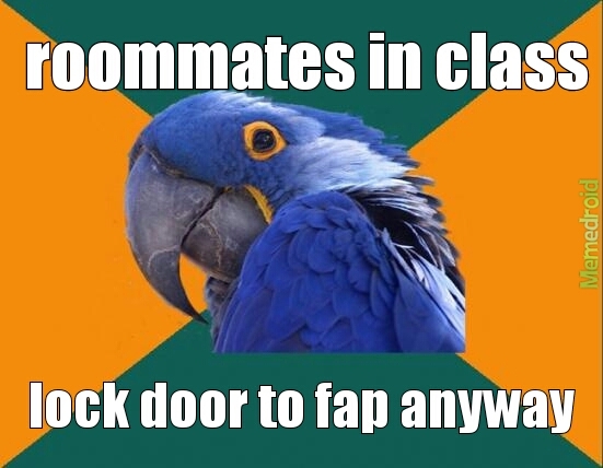roommate fap - meme