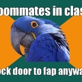 roommate fap