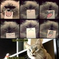 Facial expressions for cats