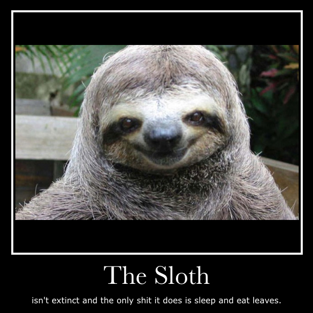 the sloth awesome - Meme by coolmister :) Memedroid