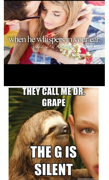 rape sloth - meme