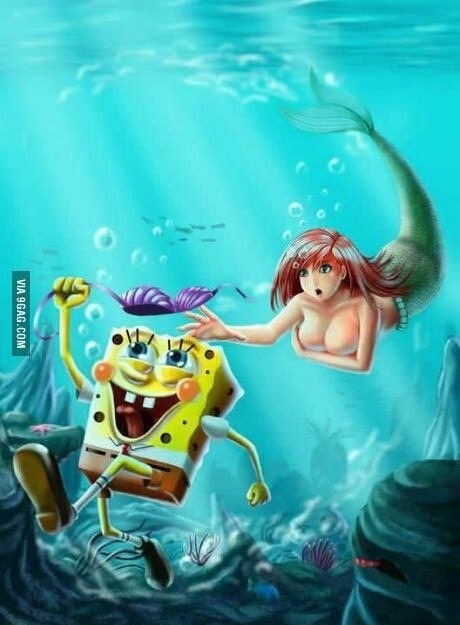 sponge boob - meme