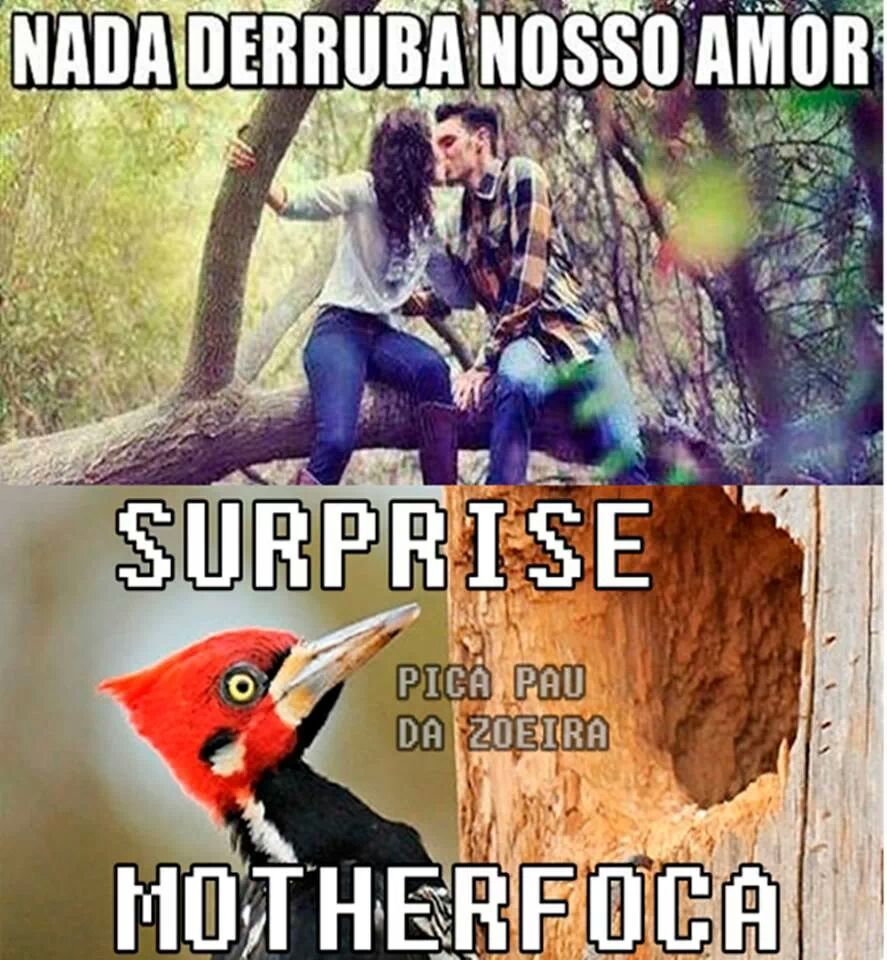 amor - Meme by alanandr :) Memedroid