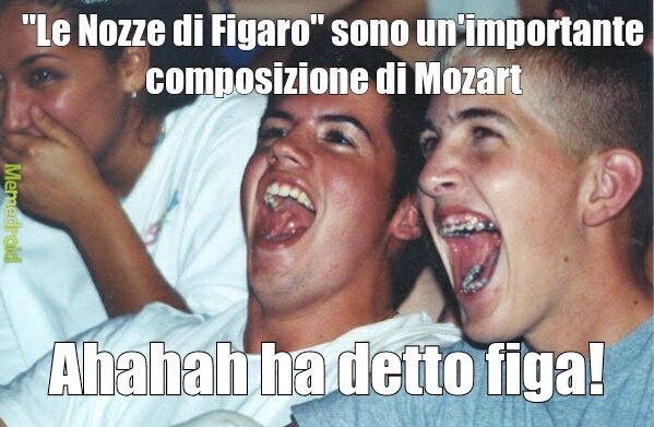 Le Nozze di Figaro - meme