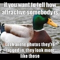 words of wisdom from a duck