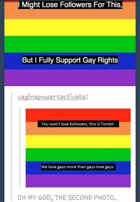 I too support gay rights, they are normal humans just like us! - meme
