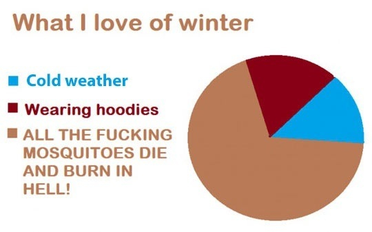 What I love of winter - meme