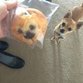 I wanna eat it! The cookie..not the dog